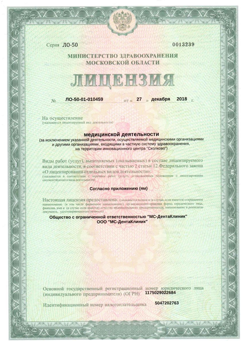 Лицензия 1